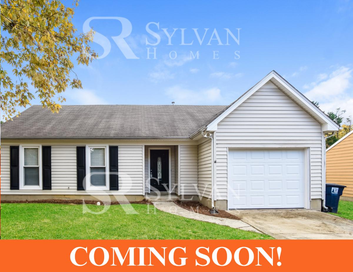 Marketing Banners.png